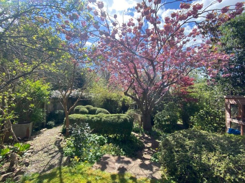 Apartamento Clifton Garden Flat With Parking